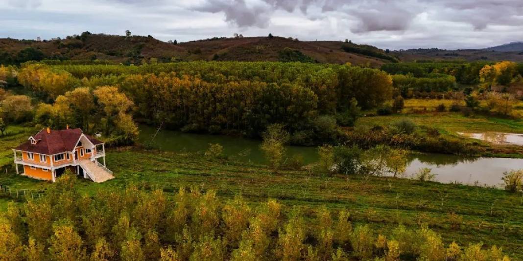 Doğa tutkunları için şimdi tam zamanı! Sarı ve kızıl yapraklar, nilüferler, kuşlar… Burası hikayelerden fırlamış gibi 5